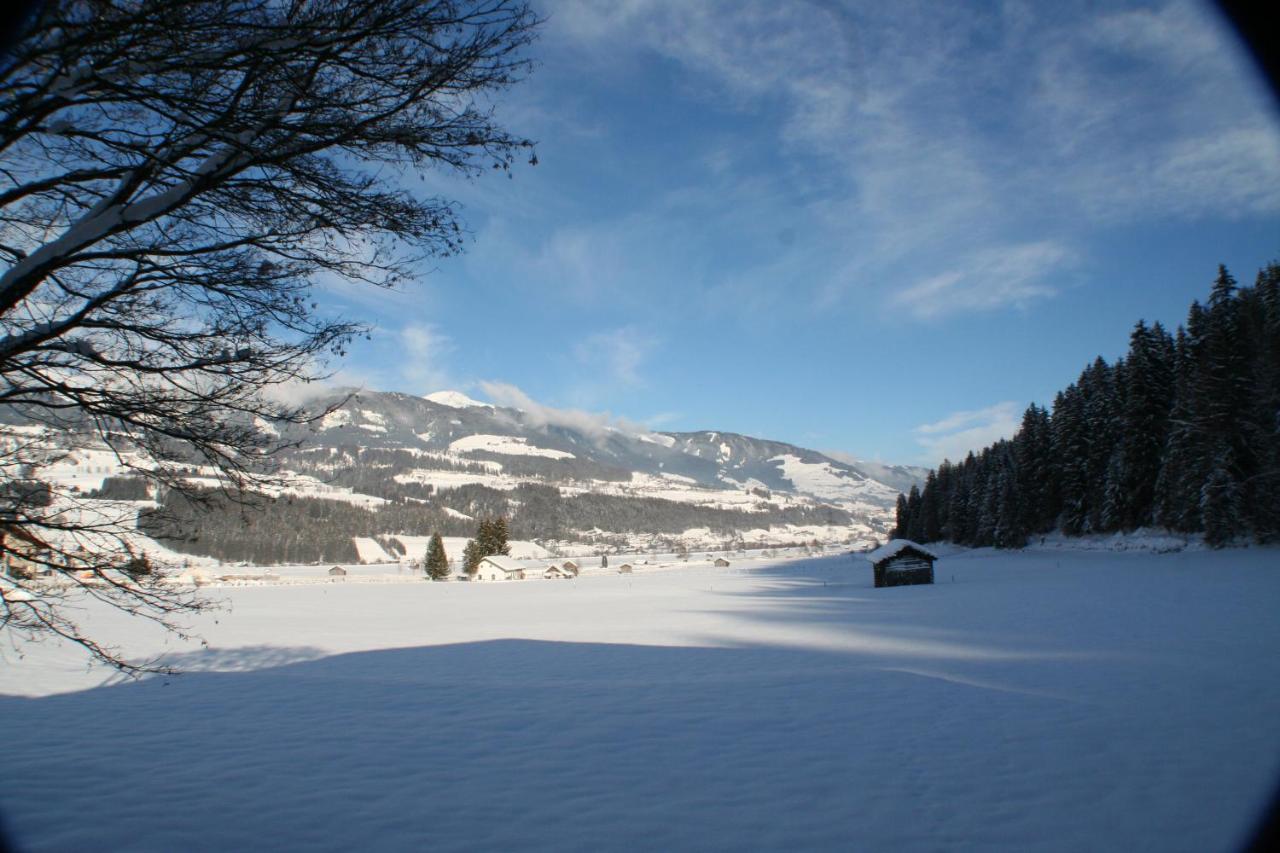 Oase Der Ruhe